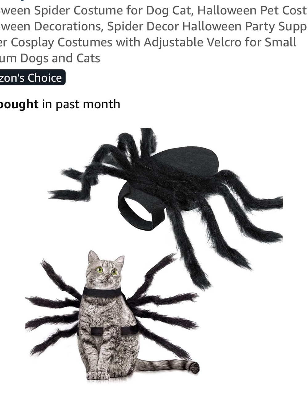 Pet Halloween Spider Costume